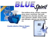 Blue Spirit  Angel